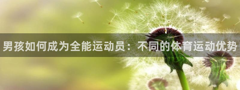 海南MK体育官网下载:男孩如何成为全能运动员:不同的体育运动