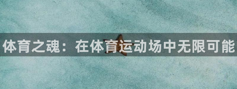 MK体育官方正版app娱乐是那个系列的台子:体育之魂:在体育