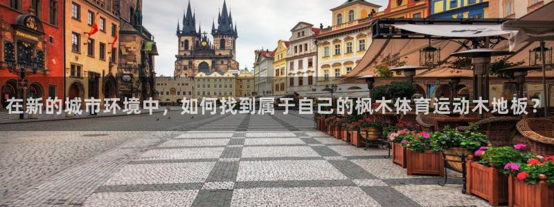 MK体育官方正版app集团官网首页网址:在新的城市环境中,如