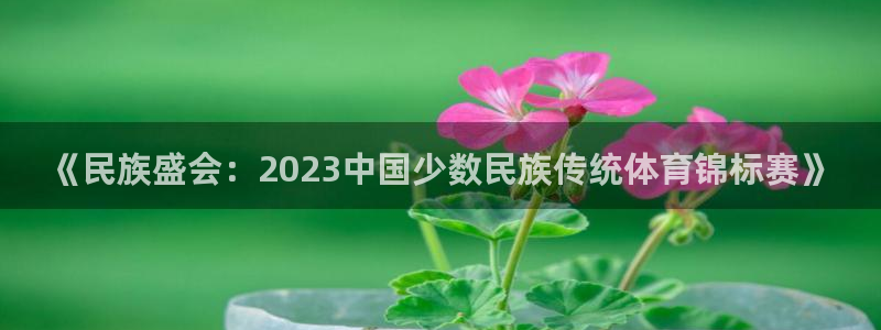 MK体育官方正版app集团简介:《民族盛会:2023中国少数
