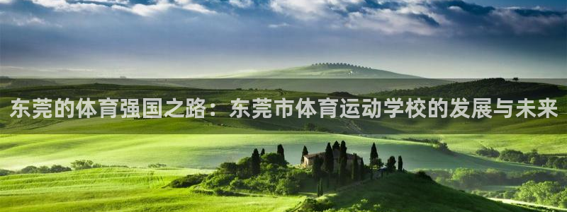 MK体育官方正版app神州:东莞的体育强国之路:东莞市体育运